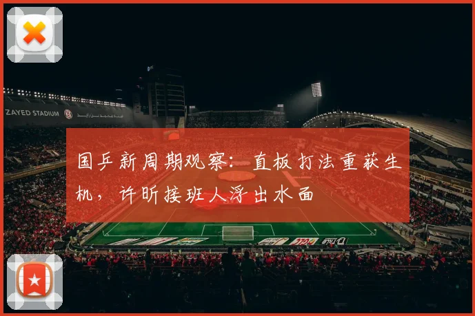 国乒新周期观察：直板打法重获生机，许昕接班人浮出水面