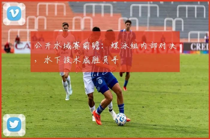 公开水域赛前瞻：蝶泳组内部对决，水下技术成胜负手
