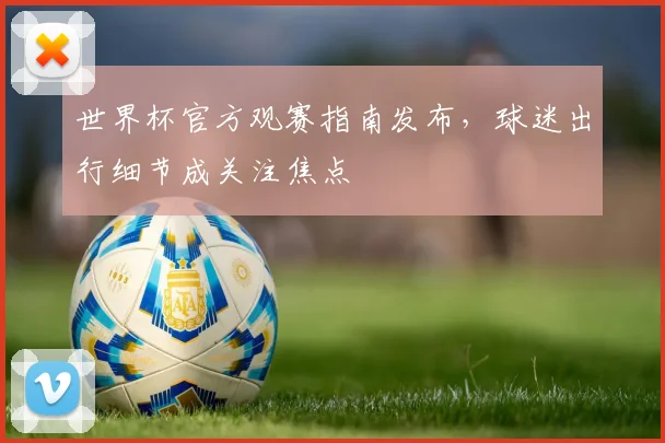 世界杯官方观赛指南发布，球迷出行细节成关注焦点
