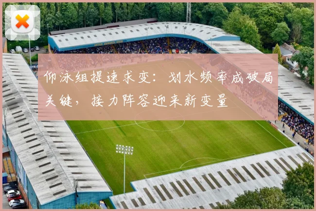 仰泳组提速求变：划水频率成破局关键，接力阵容迎来新变量