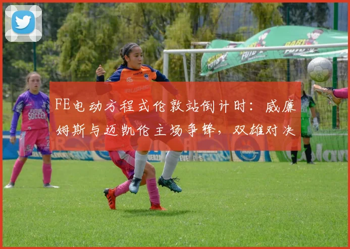 FE电动方程式伦敦站倒计时：威廉姆斯与迈凯伦主场争锋，双雄对决一触即发